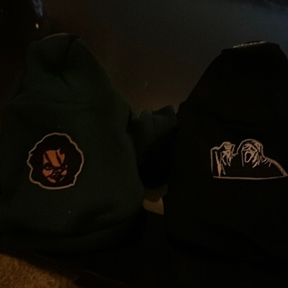 Graphic Hoodies with Unique Designs for dogs like new worn once